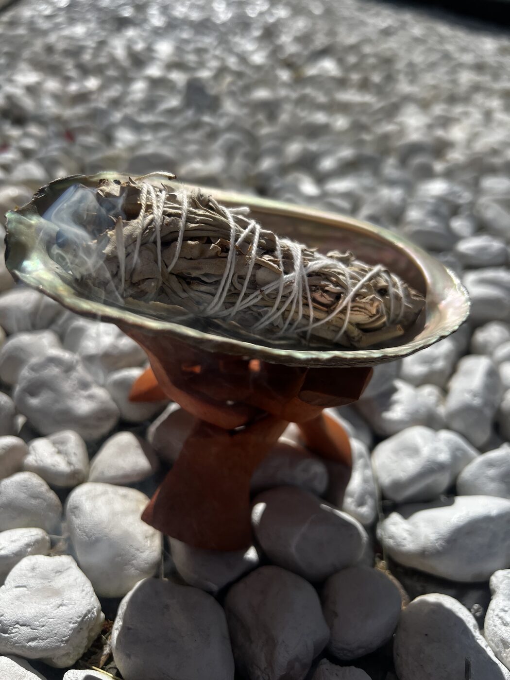 Sage smoking in the abalone shell