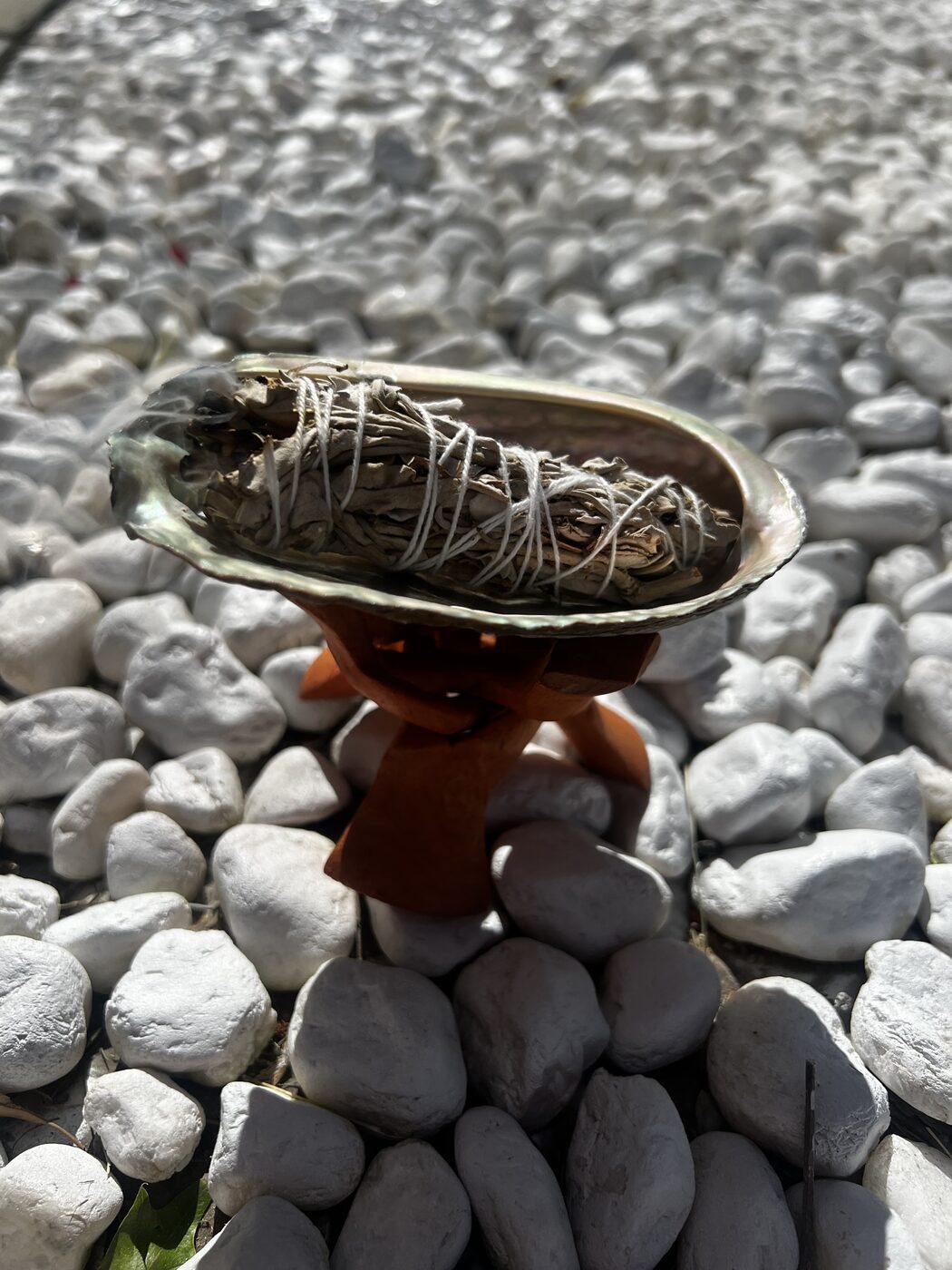 Abalone shell with white sage smoldering